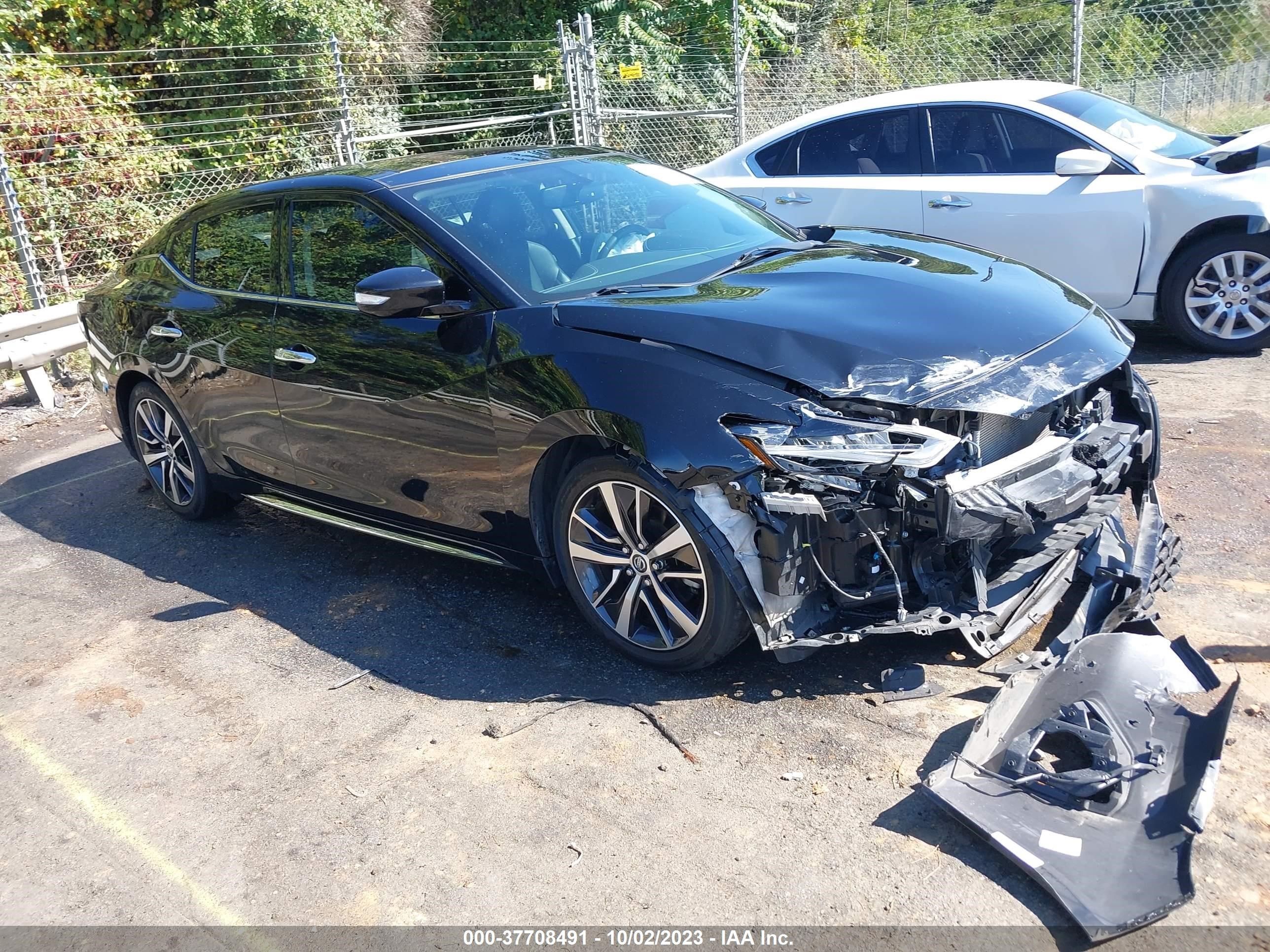 NISSAN MAXIMA 2019 1n4aa6av4kc383446