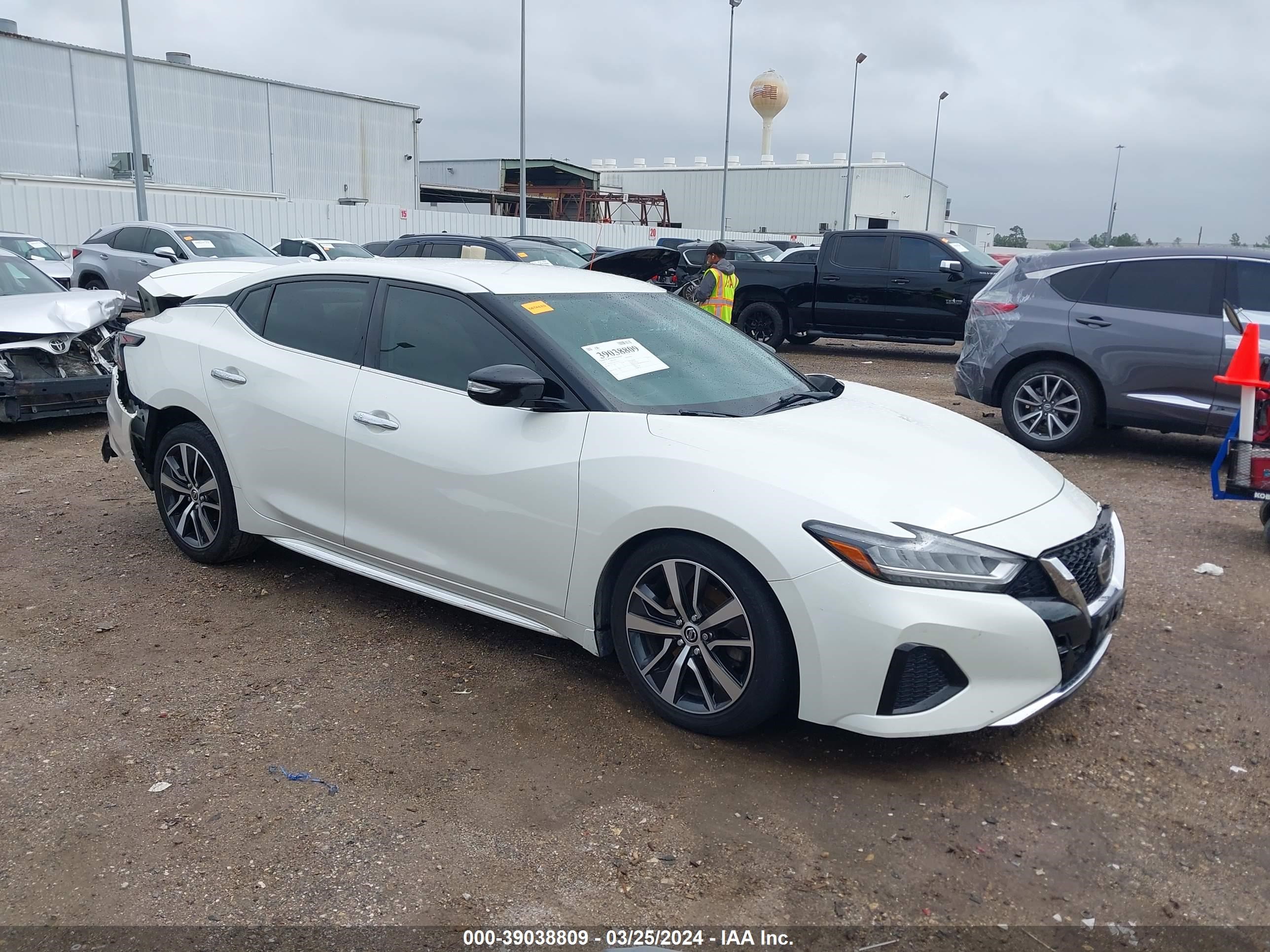 NISSAN MAXIMA 2019 1n4aa6av5kc367403