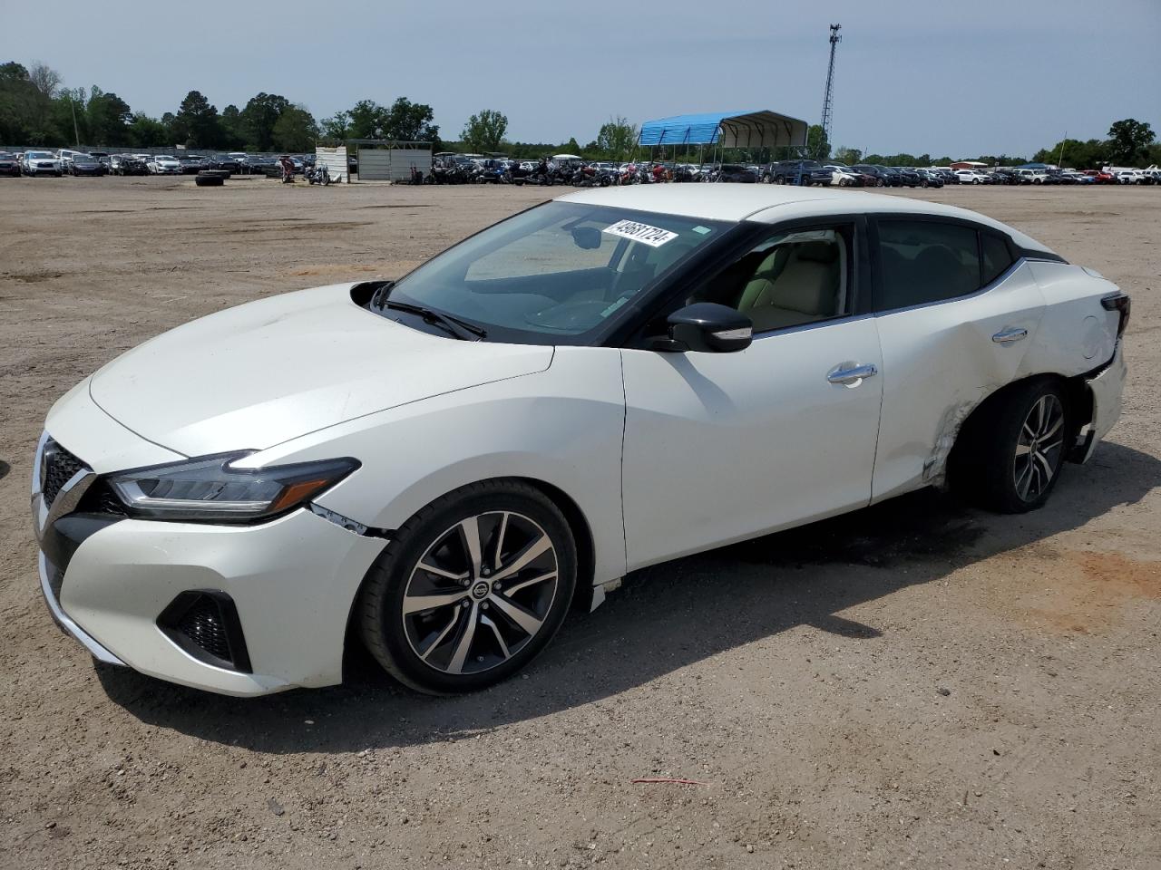 NISSAN MAXIMA 2019 1n4aa6av5kc383715