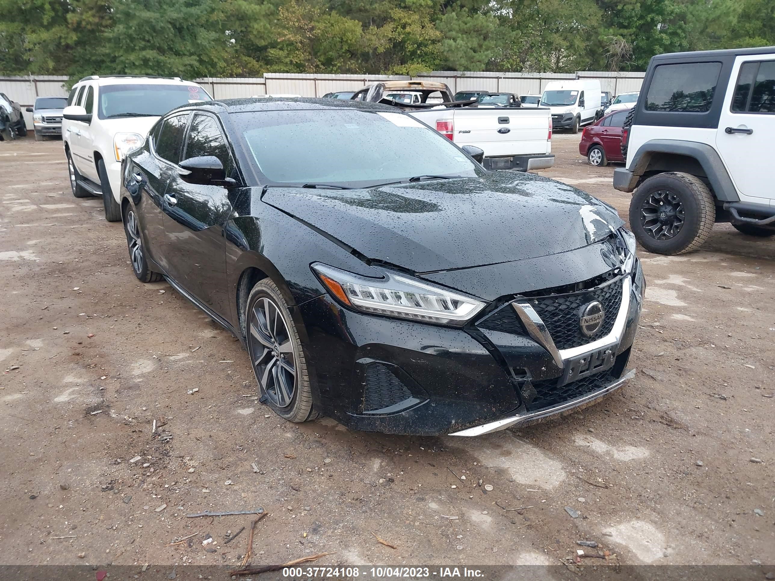 NISSAN MAXIMA 2019 1n4aa6av5kc384878