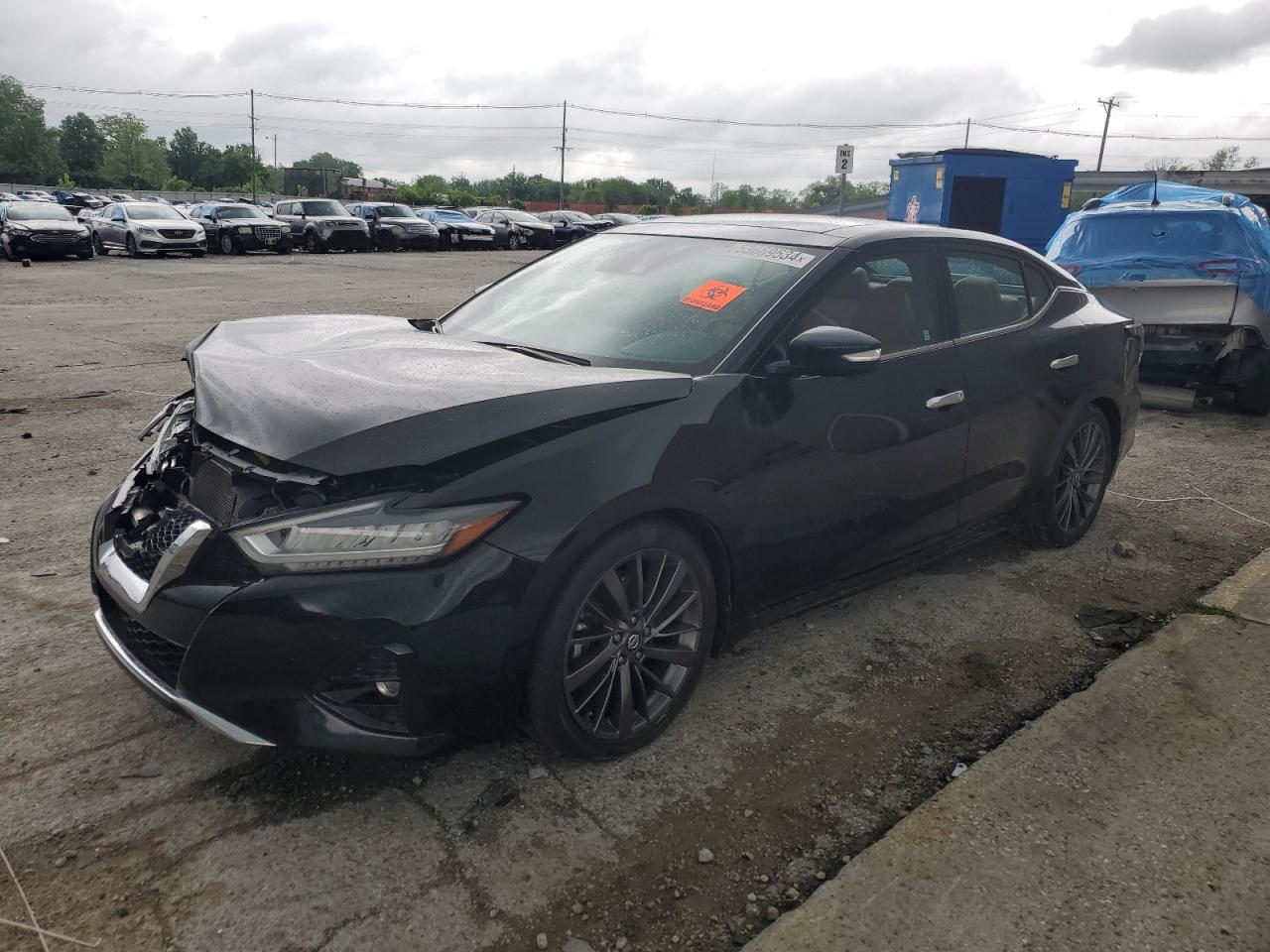 NISSAN MAXIMA 2019 1n4aa6av6kc364963