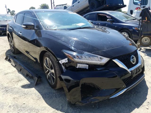 NISSAN MAXIMA 2019 1n4aa6av7kc377575