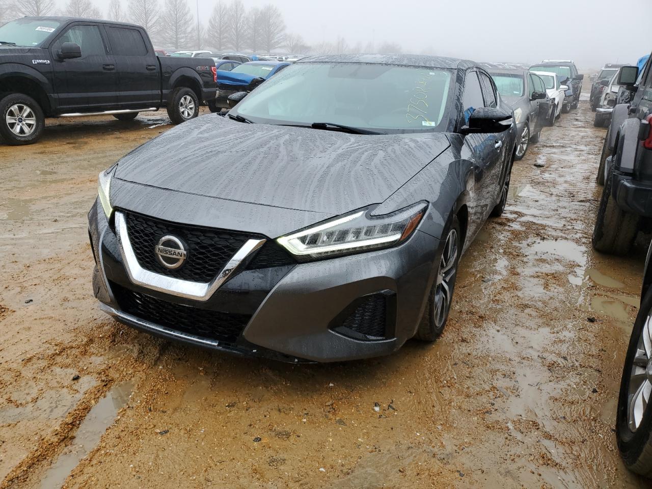 NISSAN MAXIMA 2019 1n4aa6av9kc360504