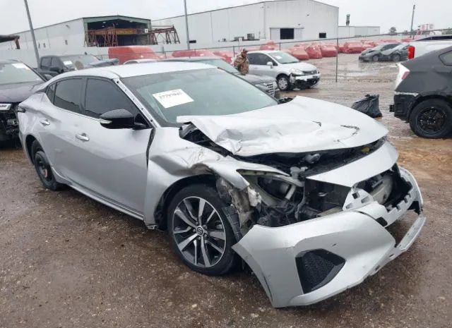 NISSAN MAXIMA 2019 1n4aa6av9kc361863