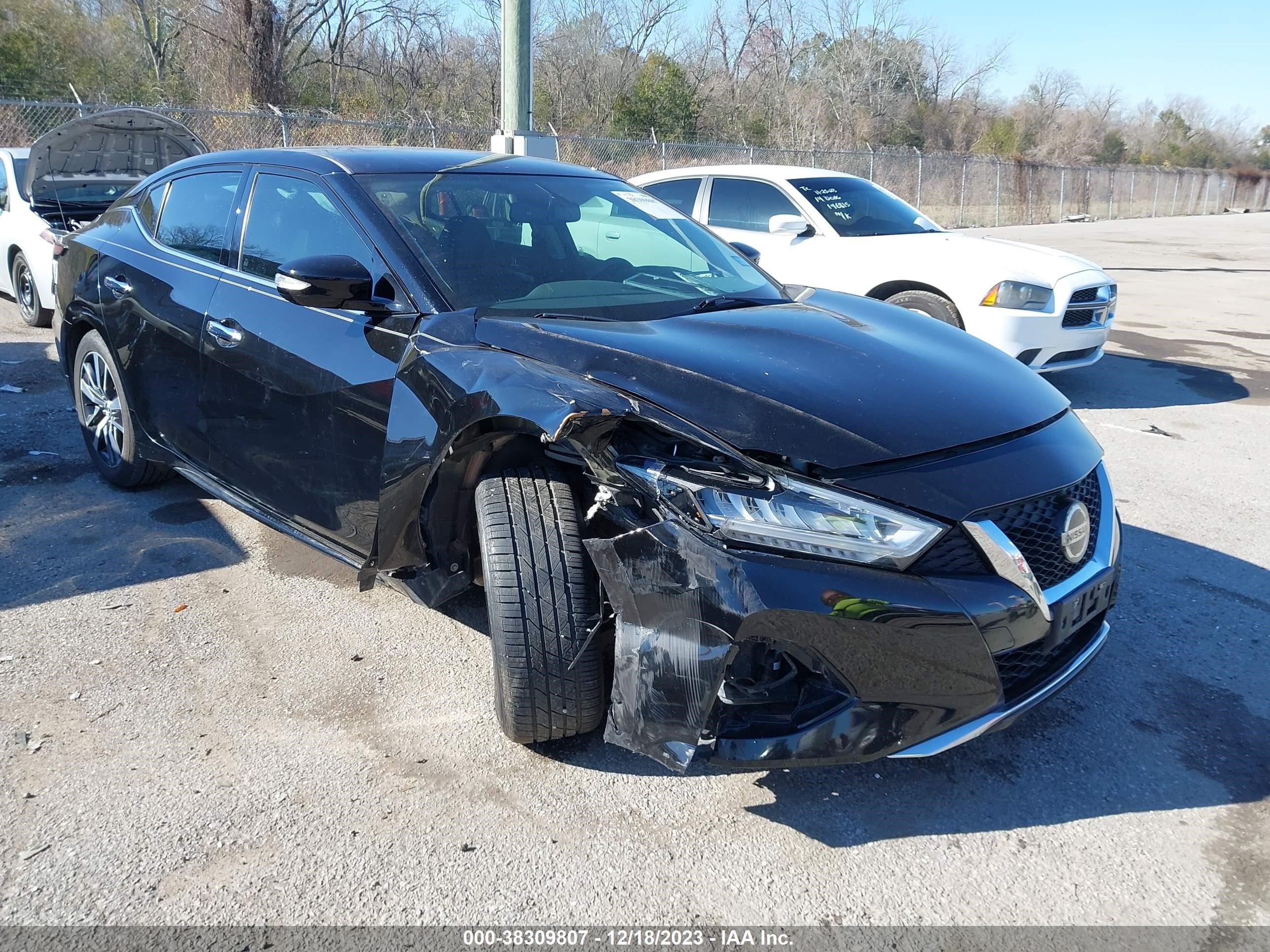 NISSAN MAXIMA 2019 1n4aa6av9kc378095