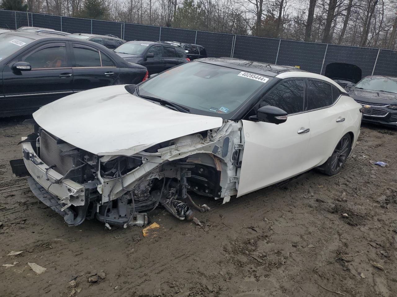 NISSAN MAXIMA 2019 1n4aa6av9kc378386