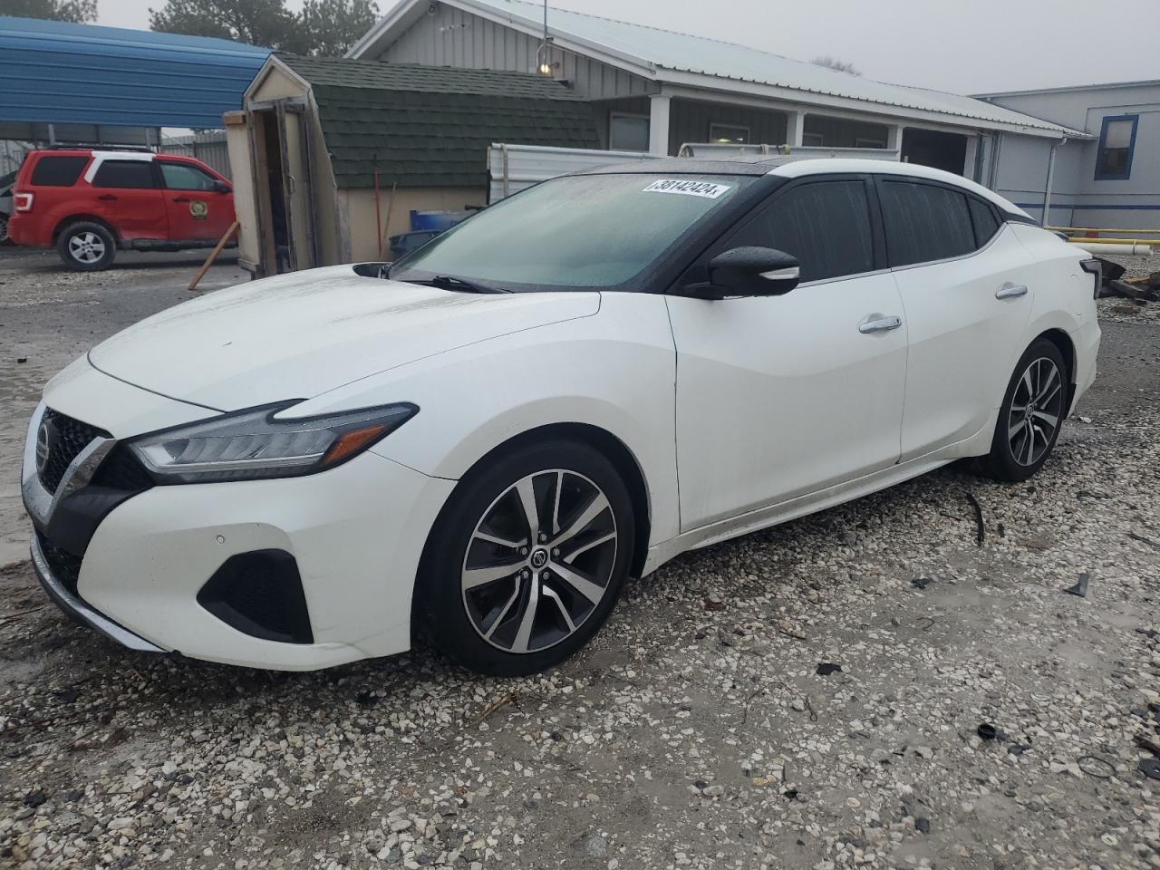 NISSAN MAXIMA 2019 1n4aa6av9kc652217