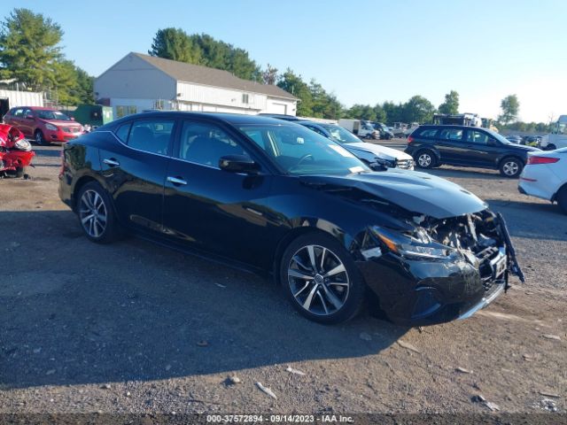 NISSAN MAXIMA 2019 1n4aa6avxkc363654