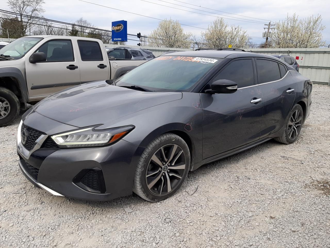 NISSAN MAXIMA 2019 1n4aa6avxkc372547