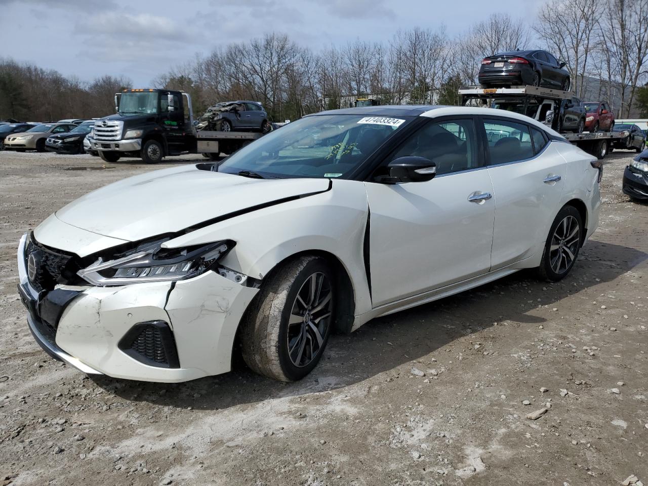 NISSAN MAXIMA 2019 1n4aa6avxkc382611