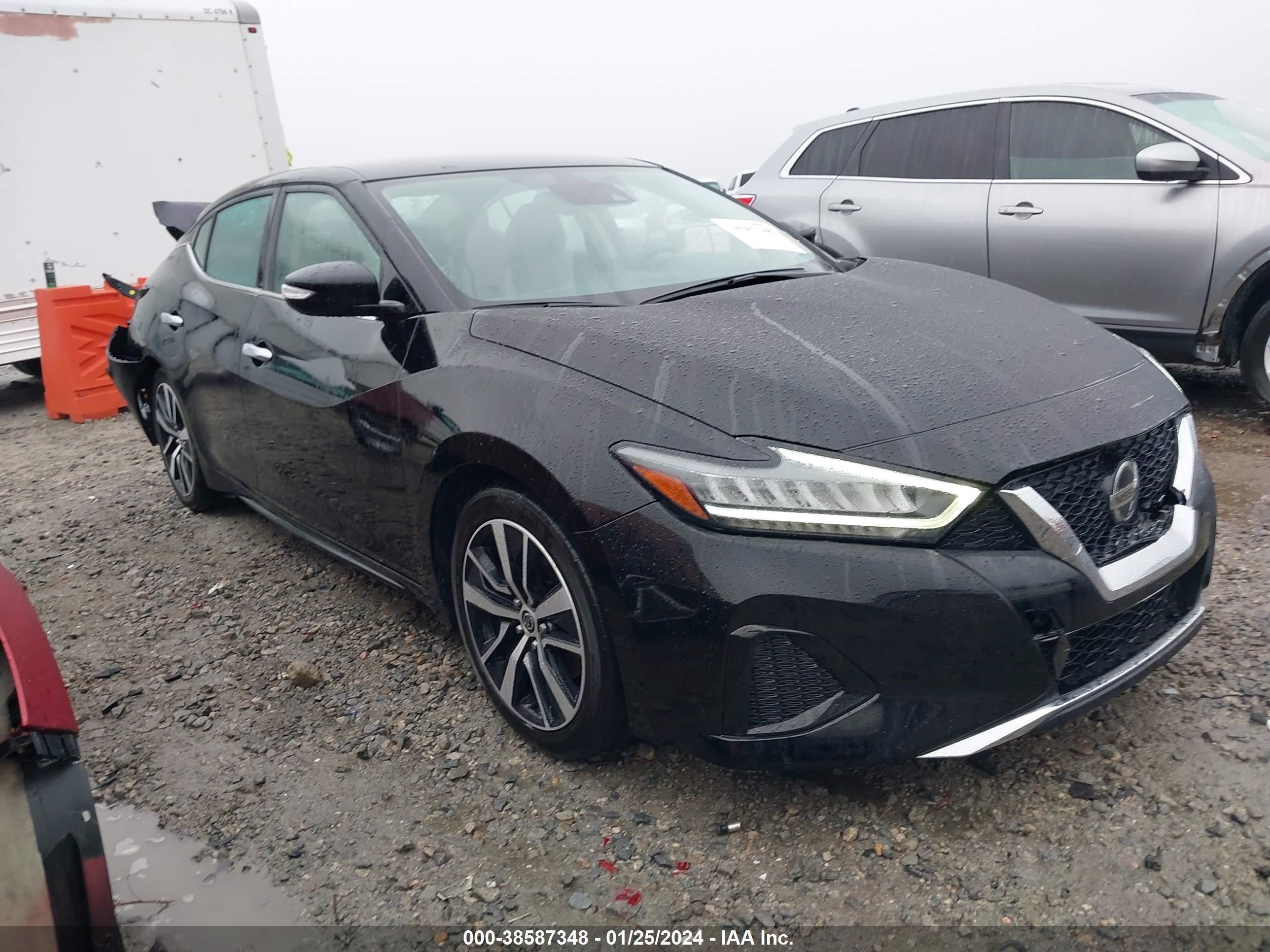 NISSAN MAXIMA 2022 1n4aa6cv0nc501445