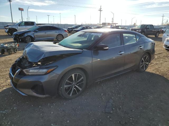 NISSAN MAXIMA 2022 1n4aa6cv0nc505978