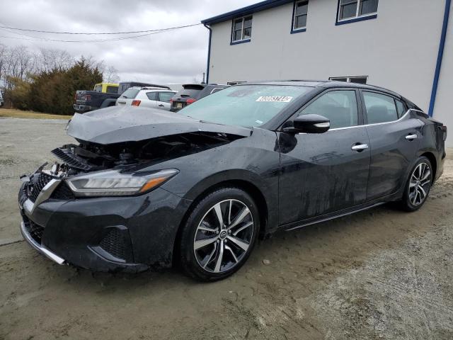 NISSAN MAXIMA 2023 1n4aa6cv0pc511086