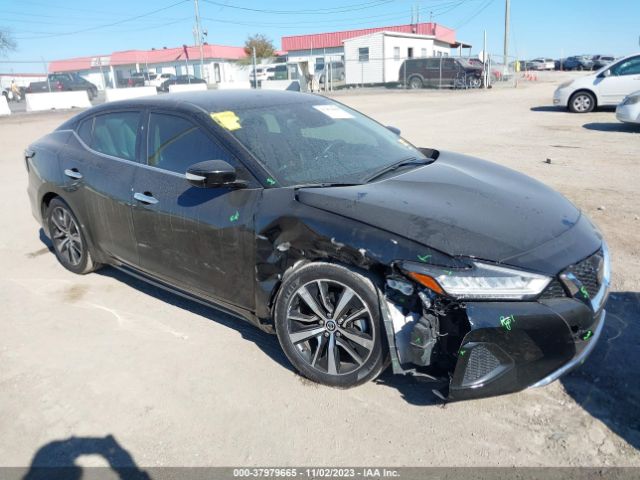 NISSAN MAXIMA 2021 1n4aa6cv1mc501257