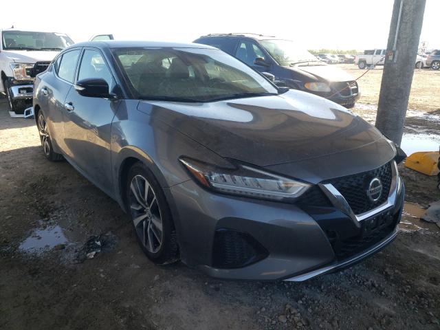 NISSAN MAXIMA SV 2020 1n4aa6cv2lc370693