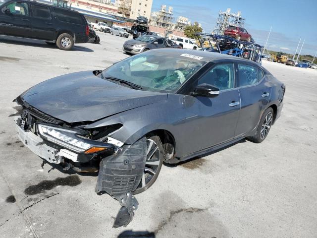 NISSAN MAXIMA 2022 1n4aa6cv2nc505853