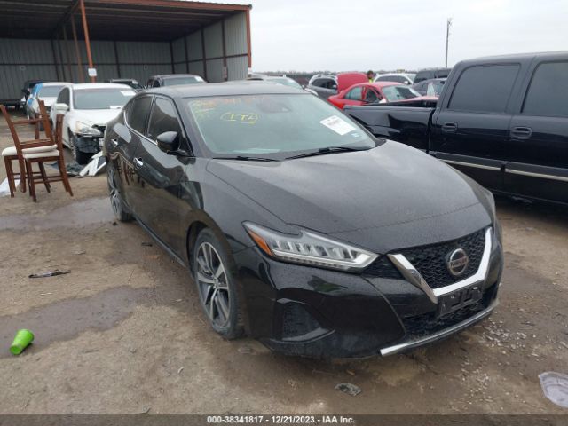 NISSAN MAXIMA 2020 1n4aa6cv3lc369259