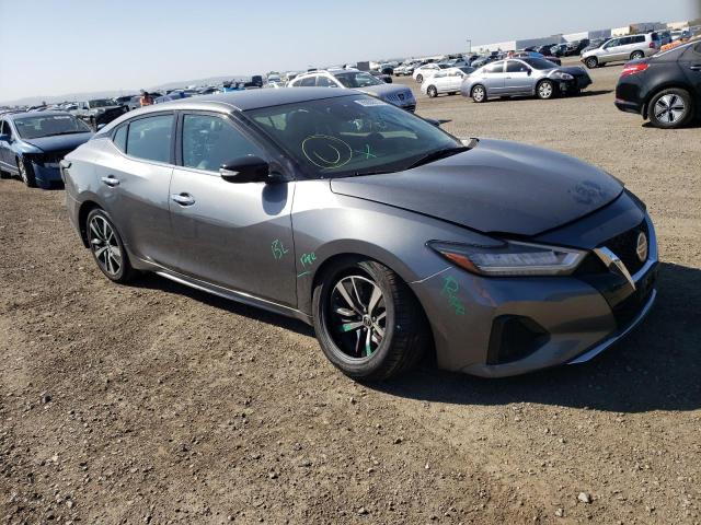 NISSAN MAXIMA SV 2020 1n4aa6cv5lc373863