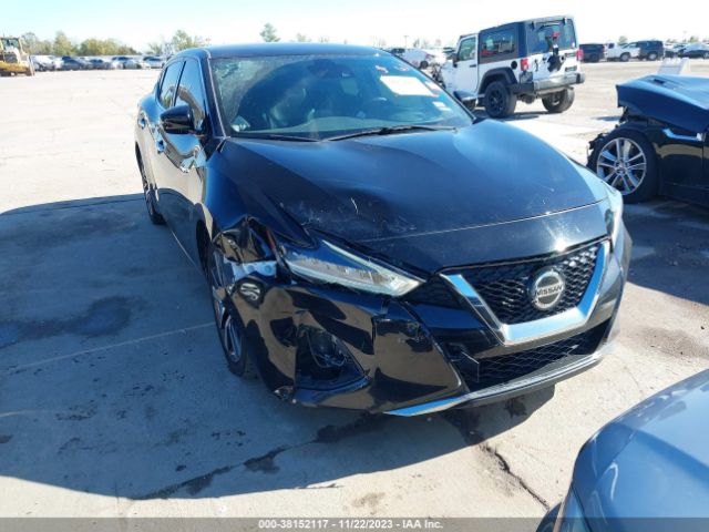 NISSAN MAXIMA 2020 1n4aa6cv6lc365593