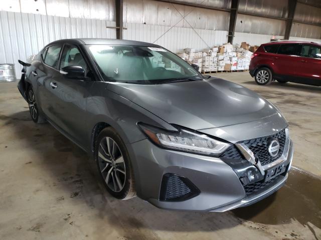 NISSAN MAXIMA SV 2020 1n4aa6cv7lc361956