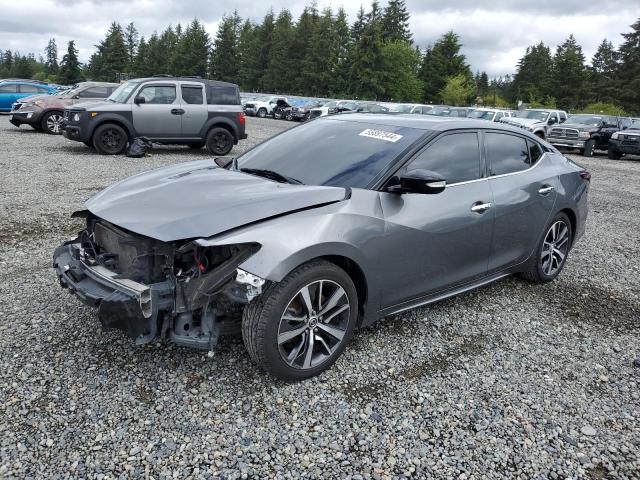 NISSAN MAXIMA 2020 1n4aa6cv7lc363061