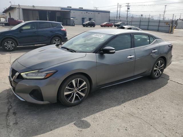 NISSAN MAXIMA SV 2020 1n4aa6cv7lc367241