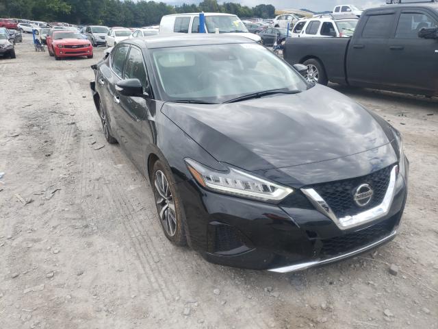 NISSAN MAXIMA 2020 1n4aa6cv7lc381916