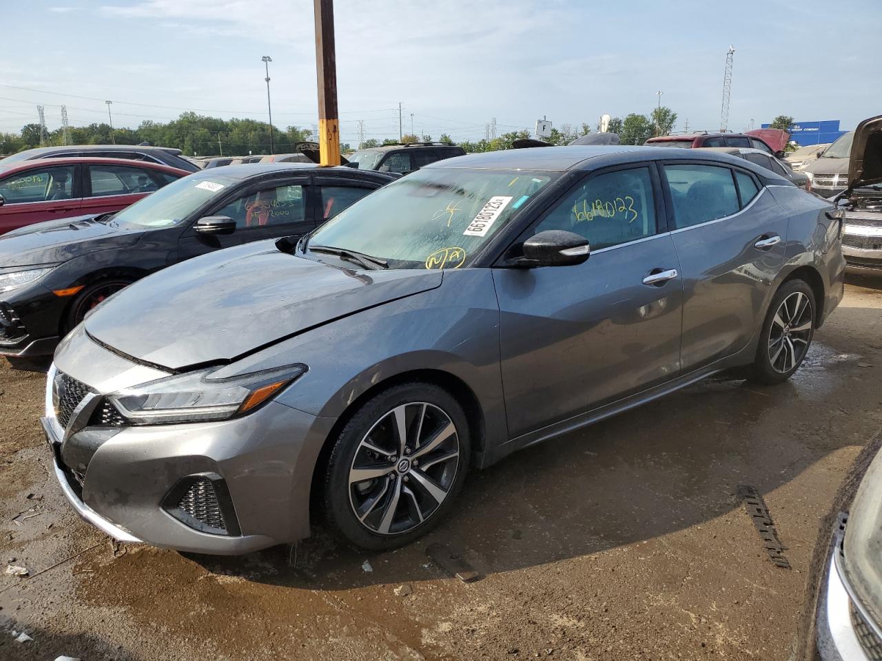 NISSAN MAXIMA 2022 1n4aa6cv7nc505900