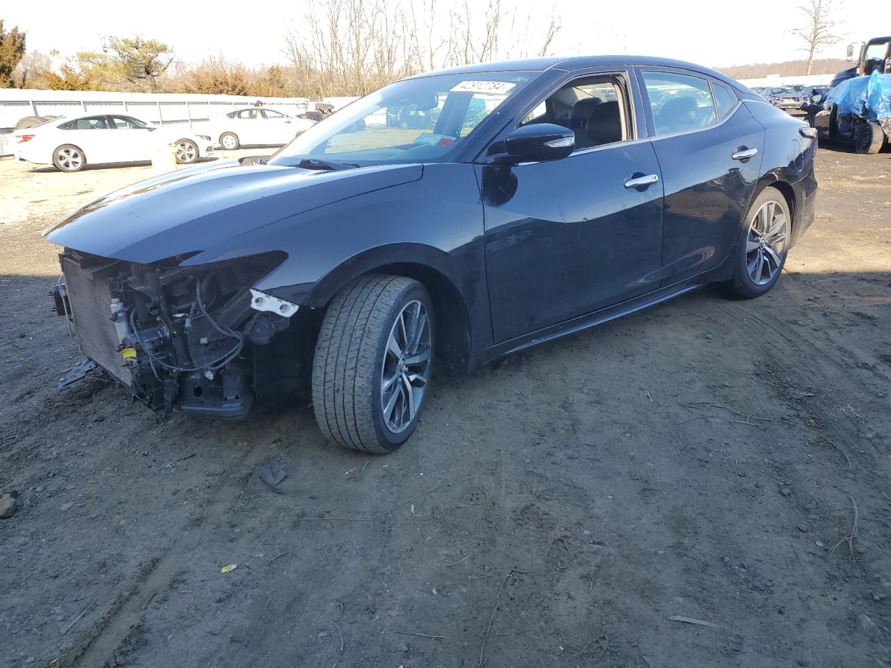 NISSAN MAXIMA 2020 1n4aa6cv8lc372304