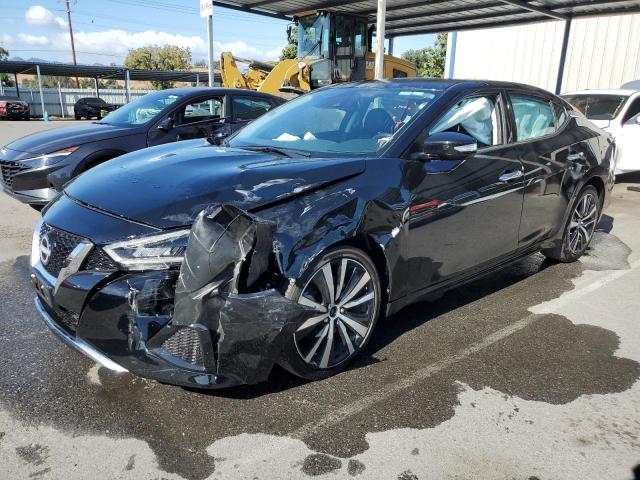 NISSAN MAXIMA 2023 1n4aa6cv8pc508971