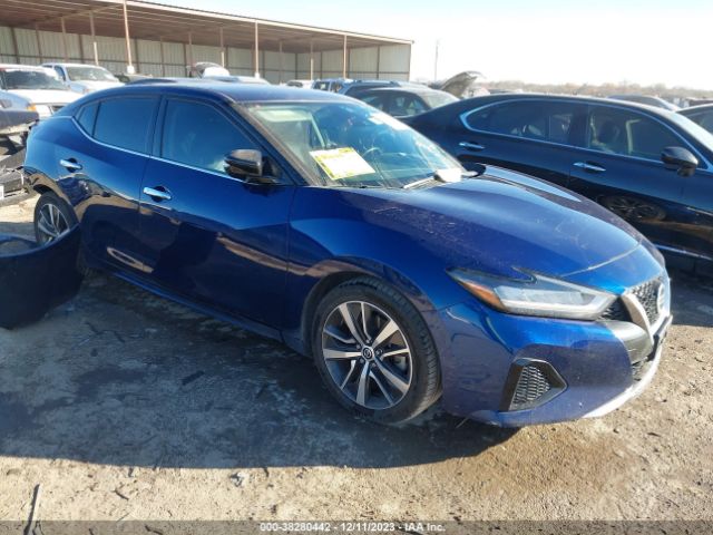 NISSAN MAXIMA 2020 1n4aa6cv9lc363496