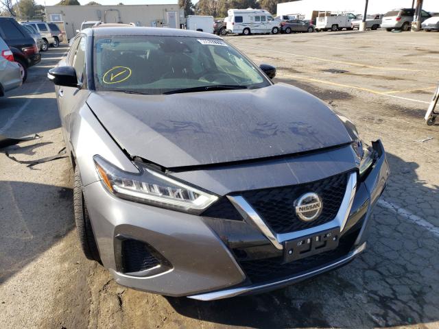 NISSAN MAXIMA SV 2020 1n4aa6cv9lc369637