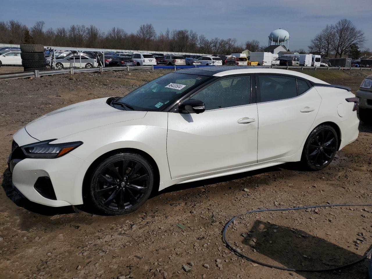 NISSAN MAXIMA 2019 1n4aa6ev5pc505782