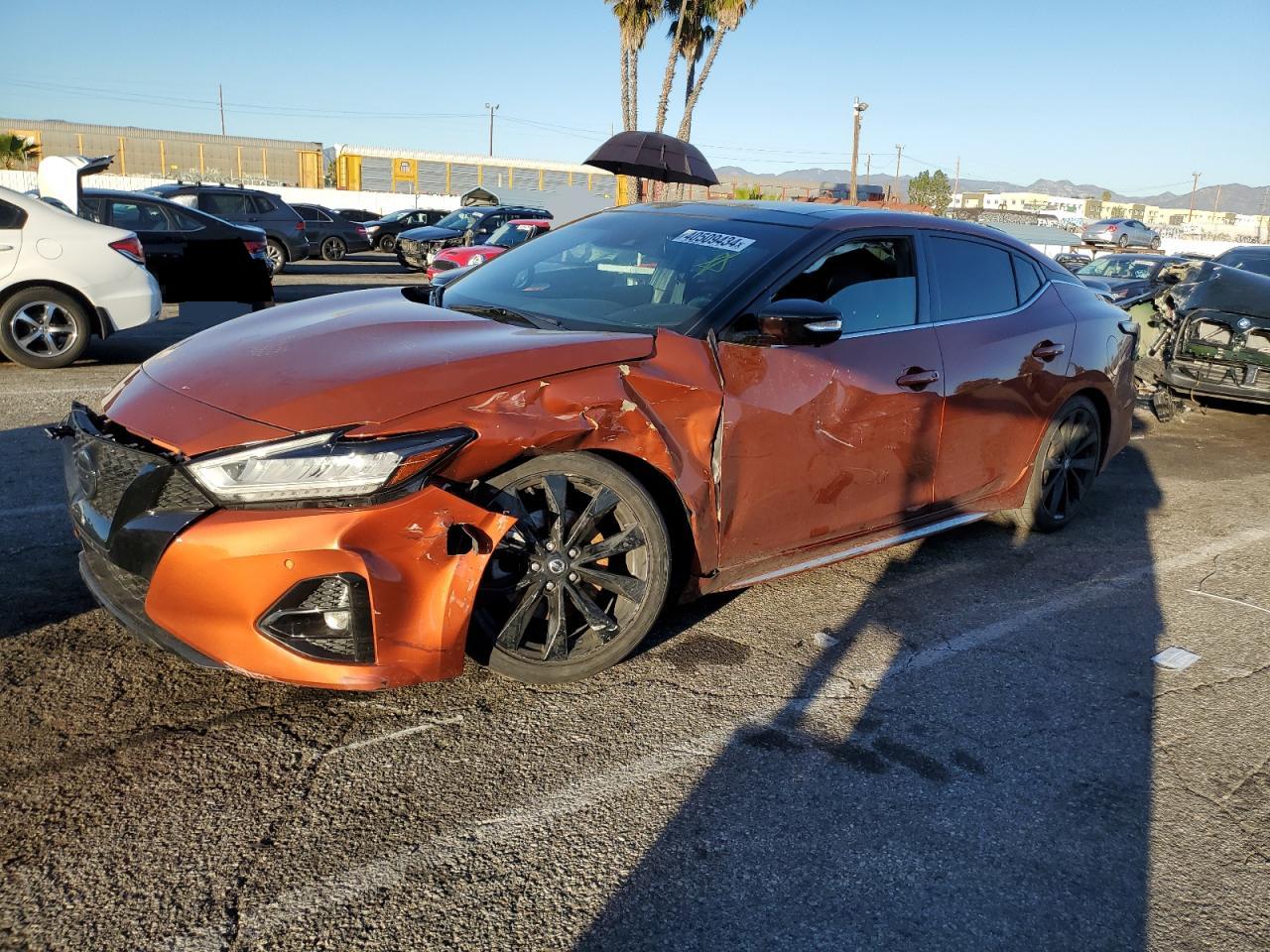 NISSAN MAXIMA 2021 1n4aa6evxmc505885