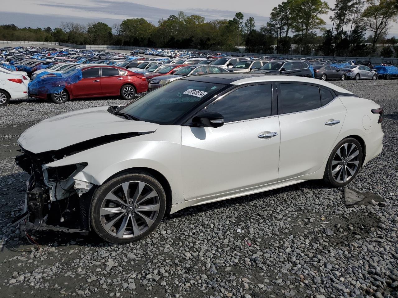 NISSAN MAXIMA 2021 1n4aa6fv7mc508001