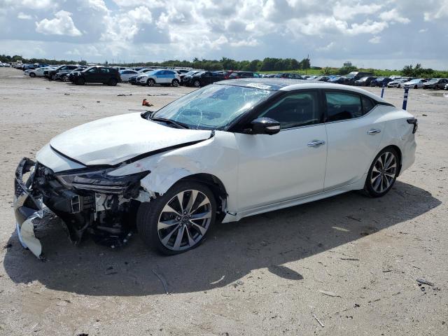 NISSAN MAXIMA 2023 1n4aa6fv7pc507919