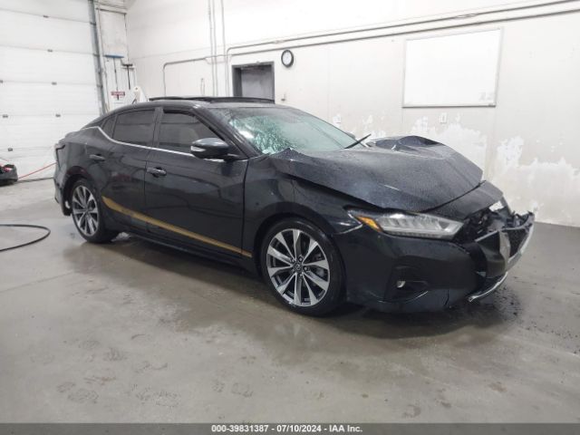 NISSAN MAXIMA 2020 1n4aa6fvxlc363292