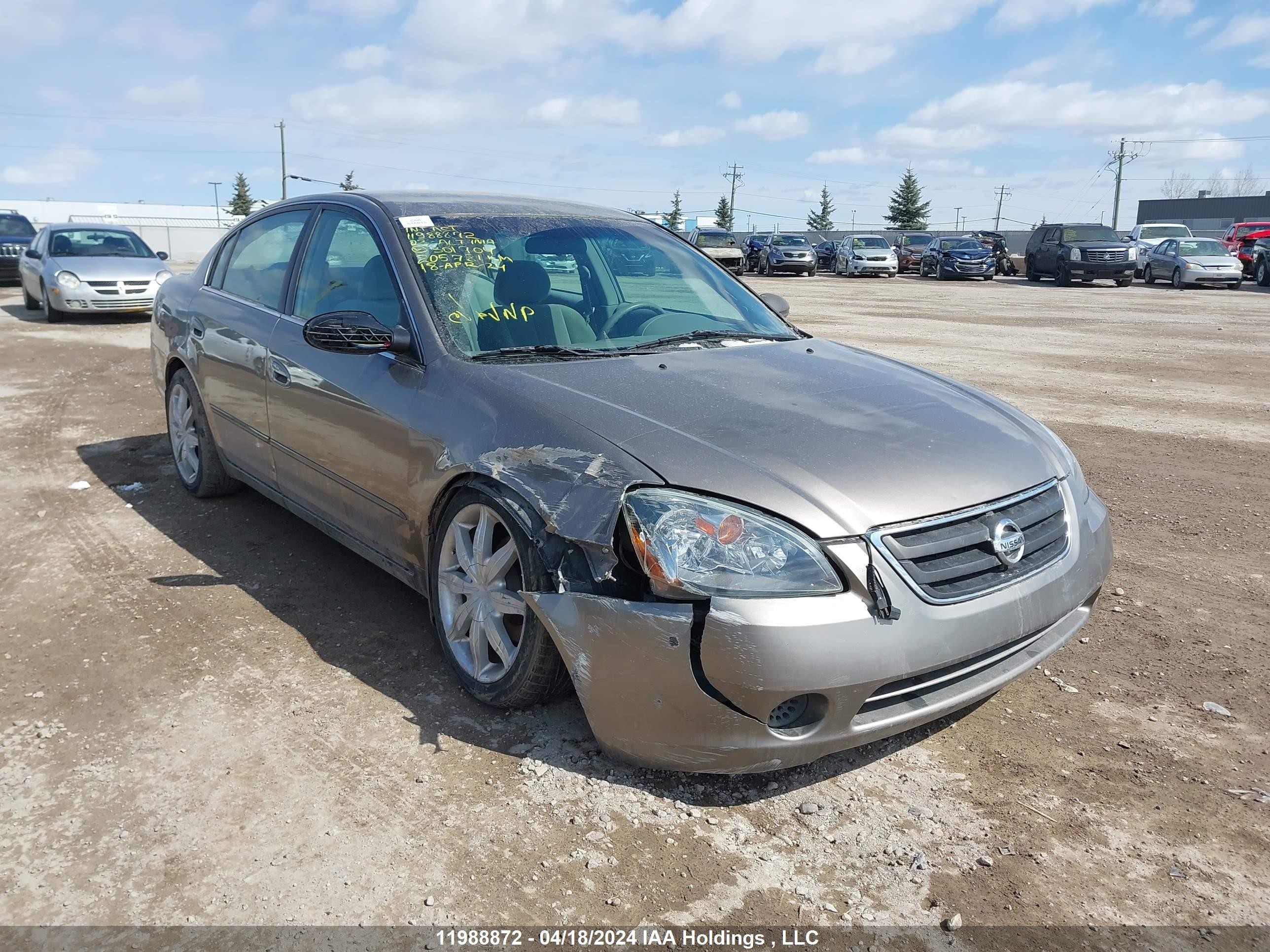 NISSAN ALTIMA 2003 1n4al11d03c301704