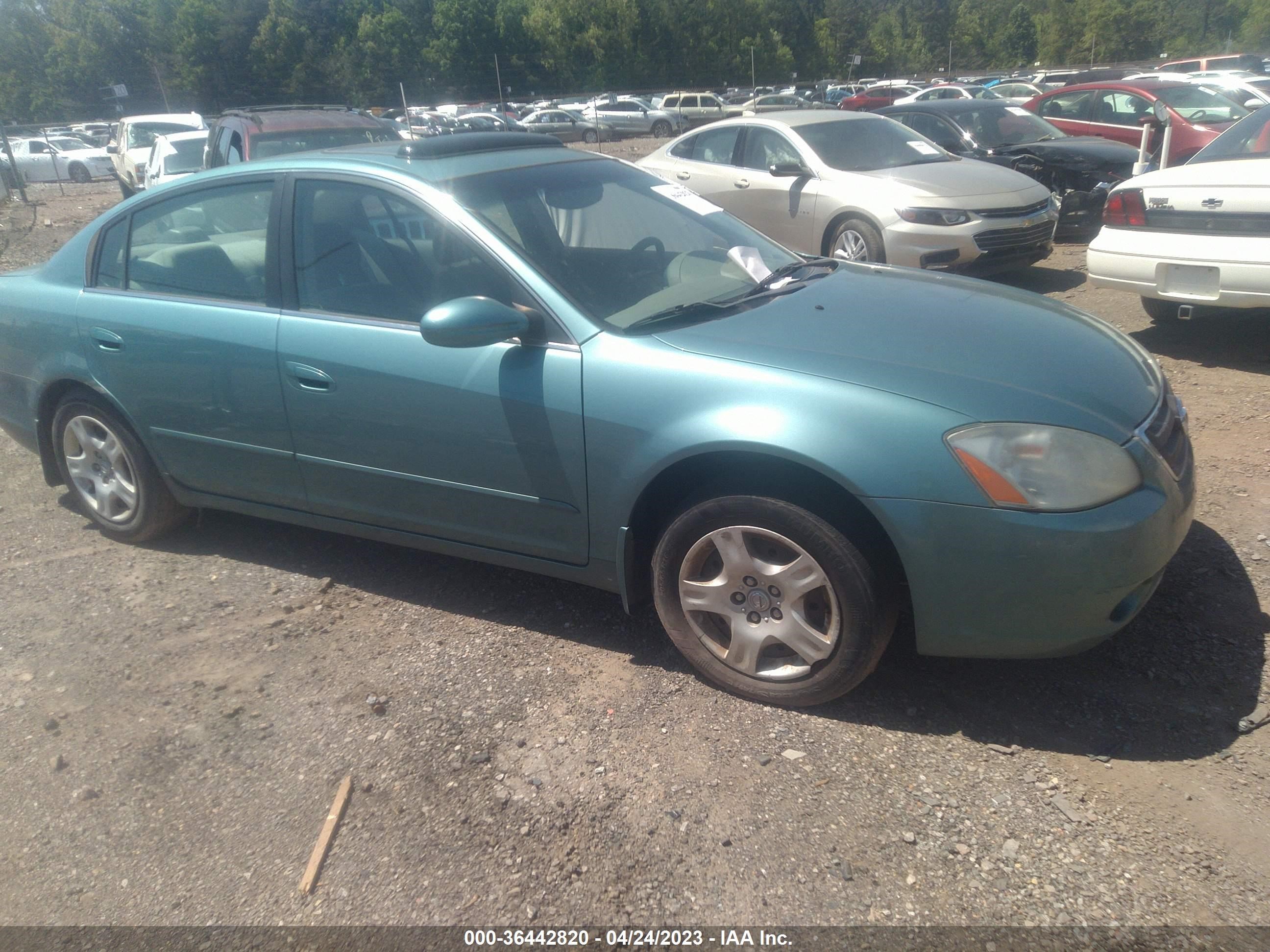 NISSAN ALTIMA 2003 1n4al11d13c322111