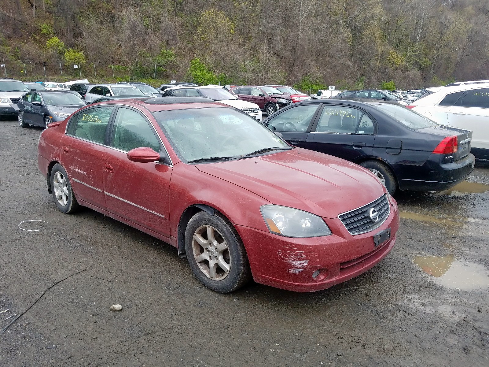 NISSAN ALTIMA 2005 1n4al11d15c148558