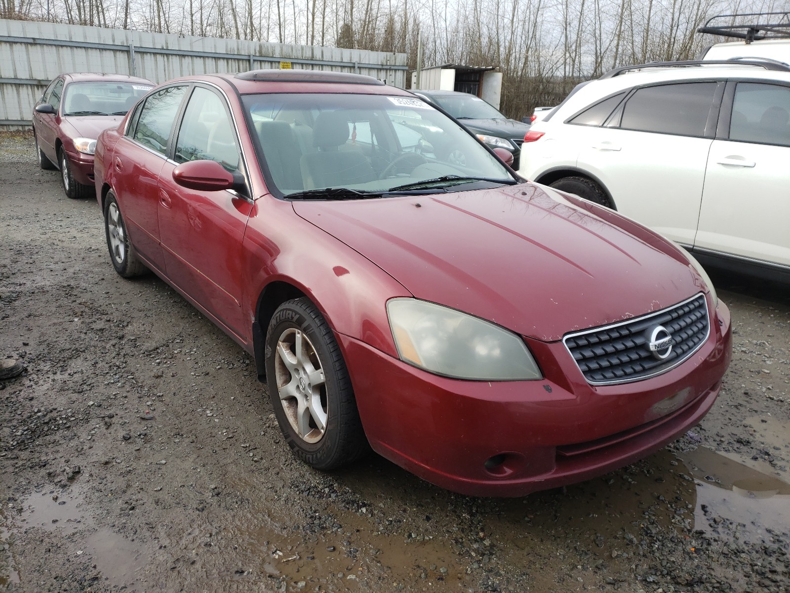 NISSAN ALTIMA S 2006 1n4al11d16c218688