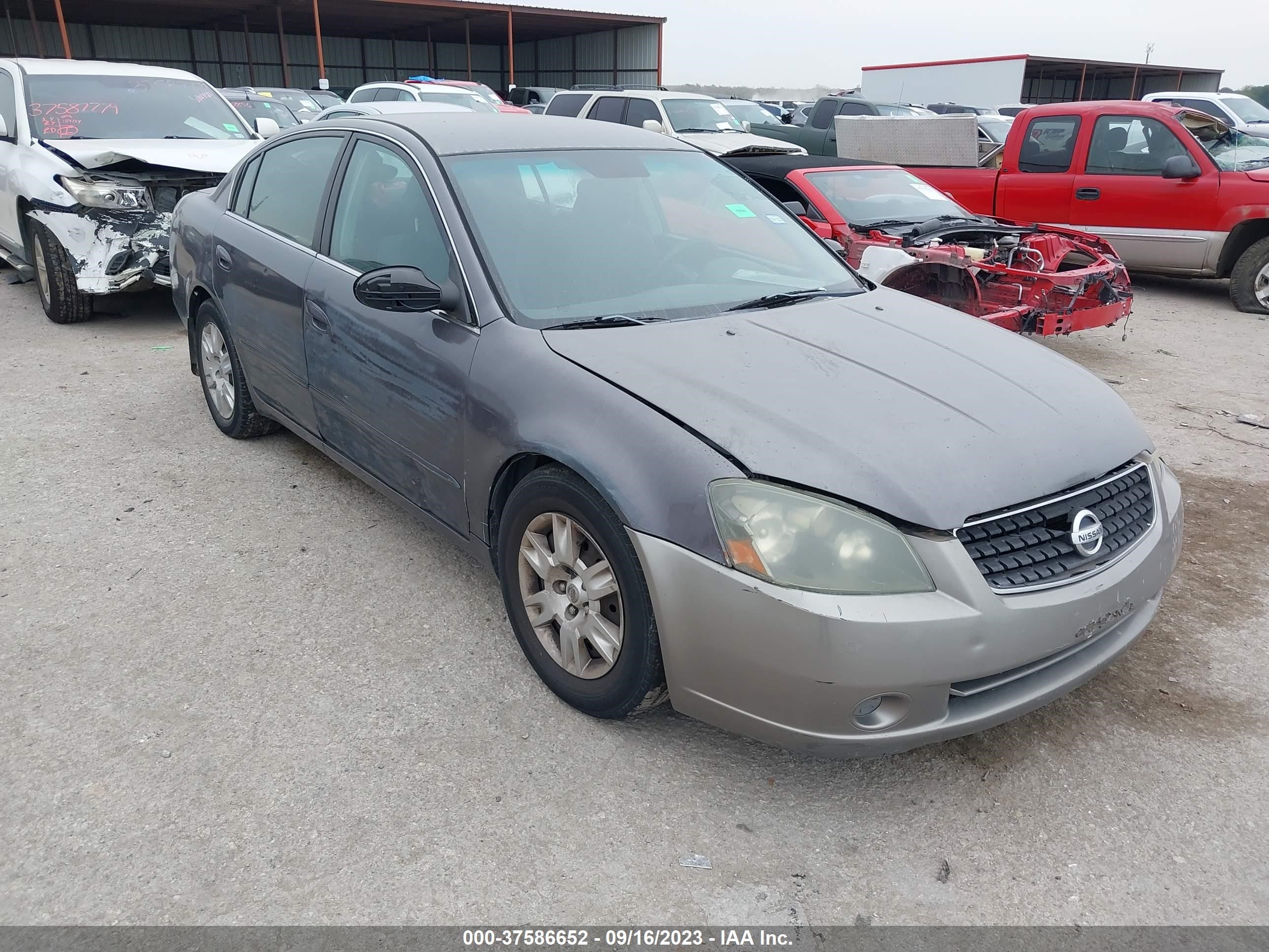 NISSAN ALTIMA 2006 1n4al11d16n319217