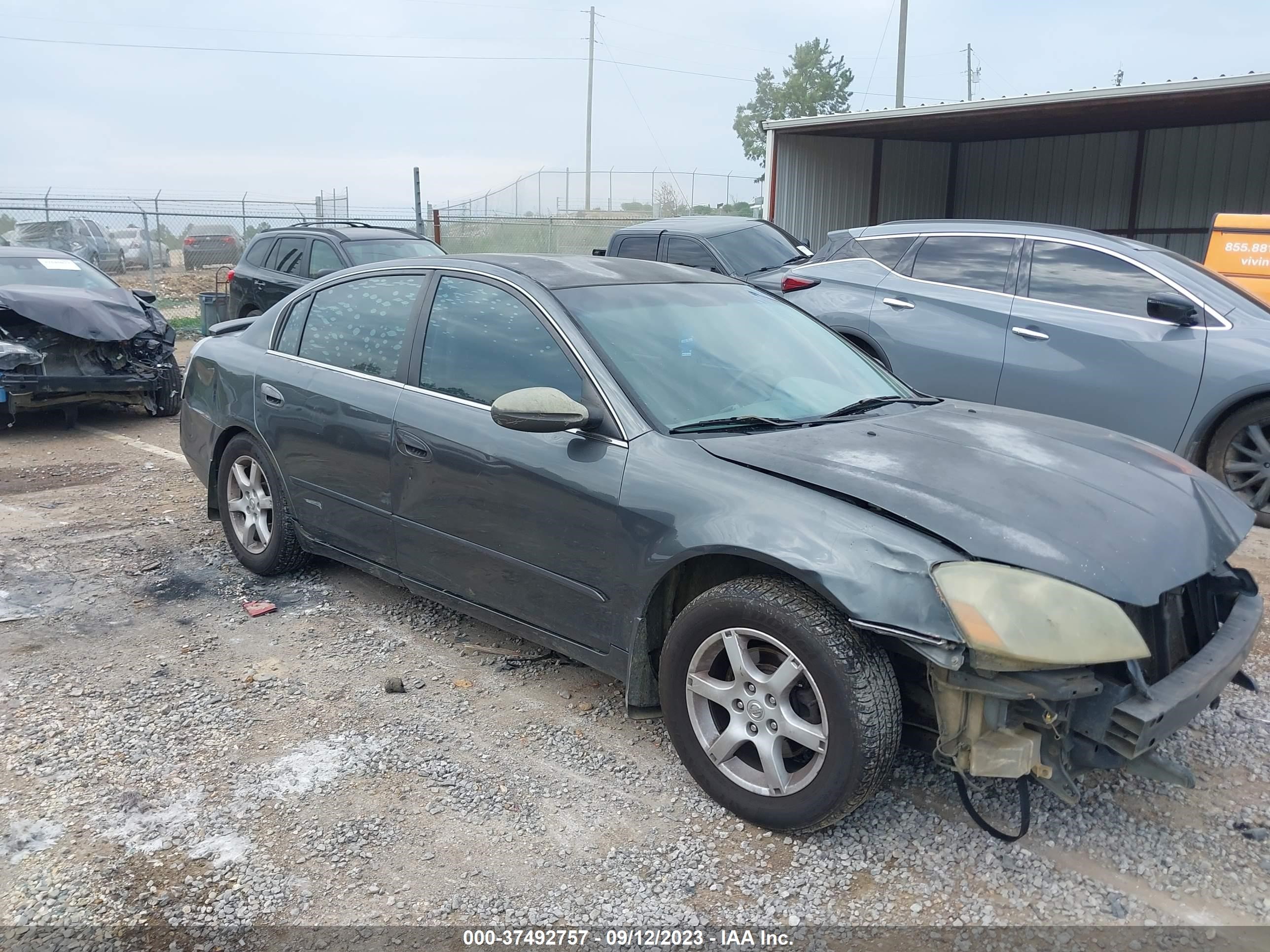 NISSAN ALTIMA 2006 1n4al11d16n393284