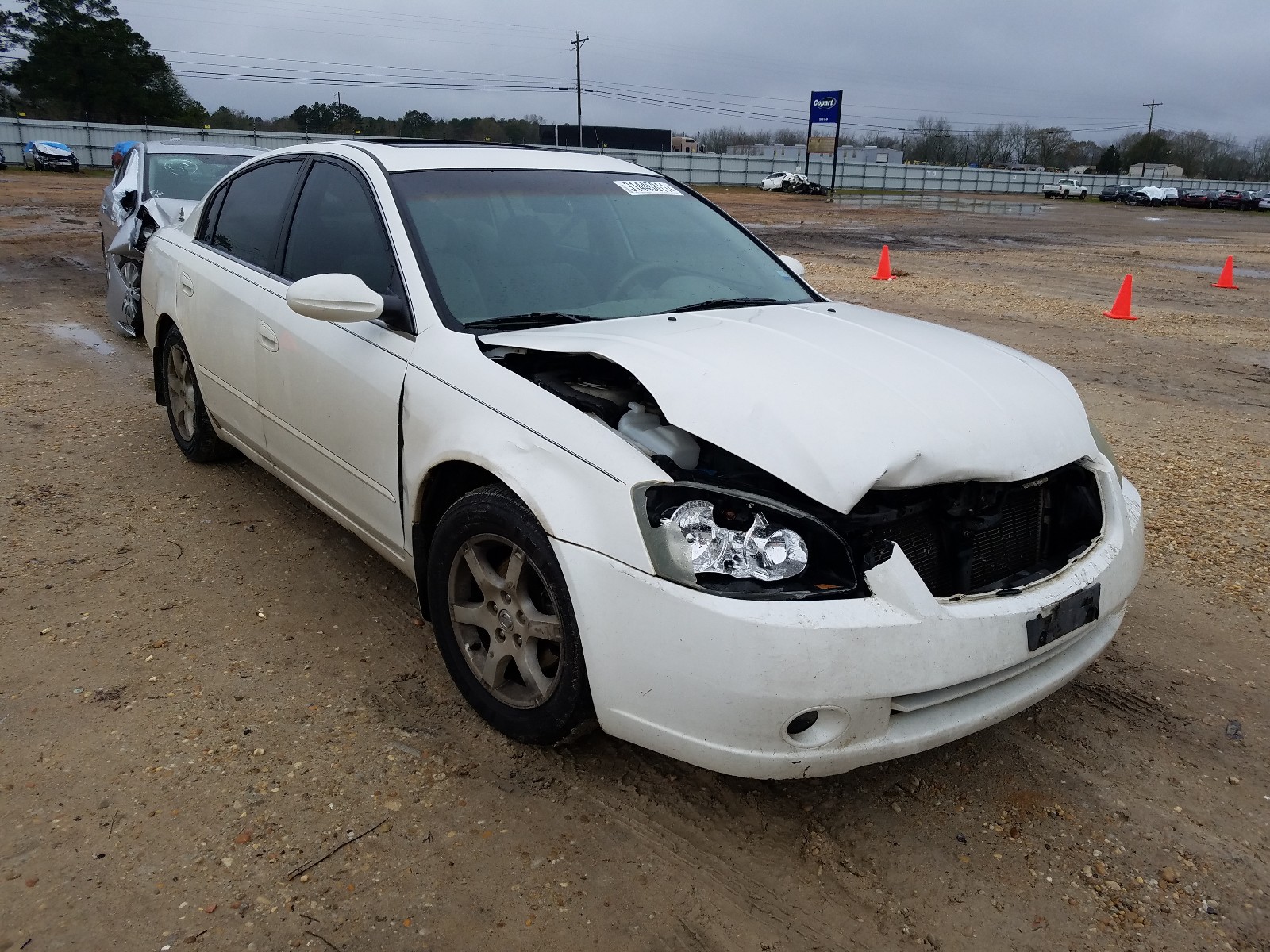 NISSAN ALTIMA S 2006 1n4al11d16n430284