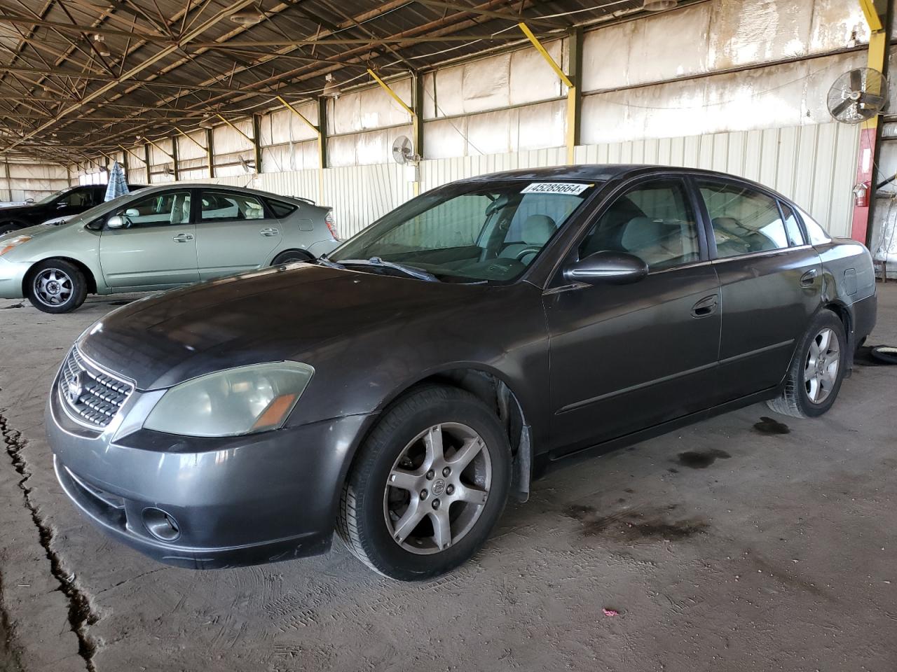 NISSAN ALTIMA 2005 1n4al11d25c120090