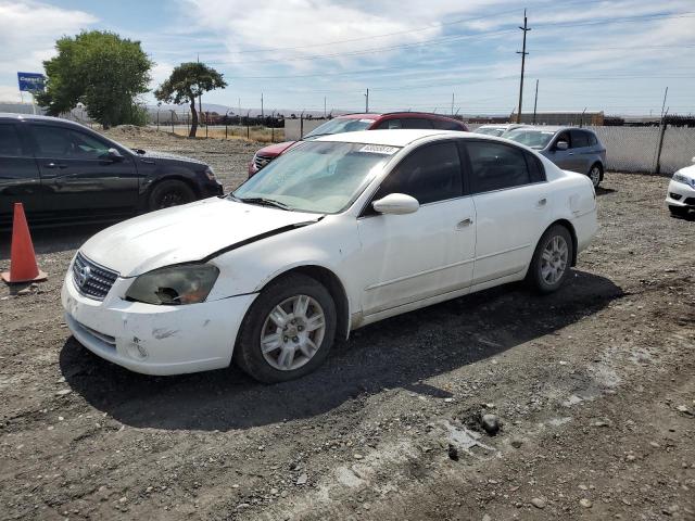 NISSAN ALTIMA S 2005 1n4al11d25c206029