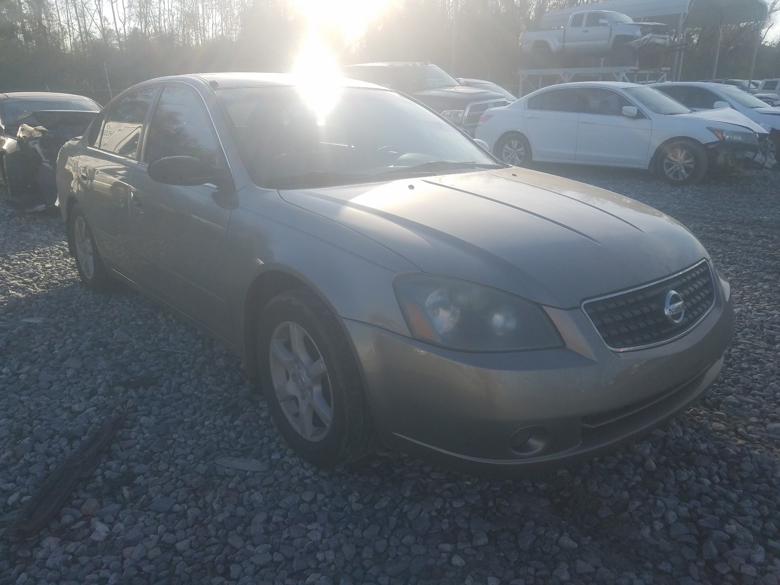 NISSAN ALTIMA S 2005 1n4al11d25c239919