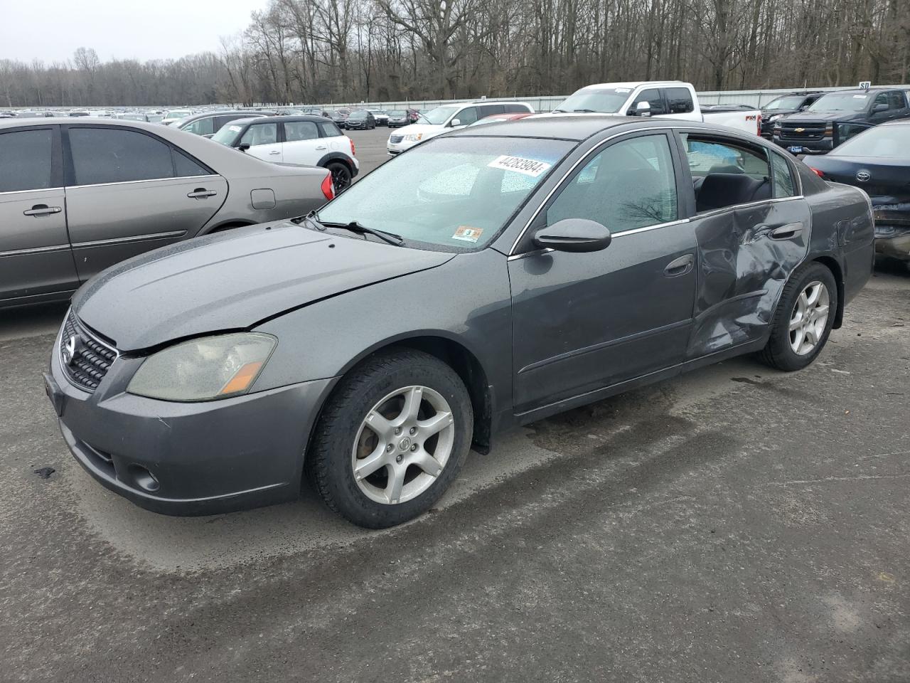 NISSAN ALTIMA 2006 1n4al11d26n381158