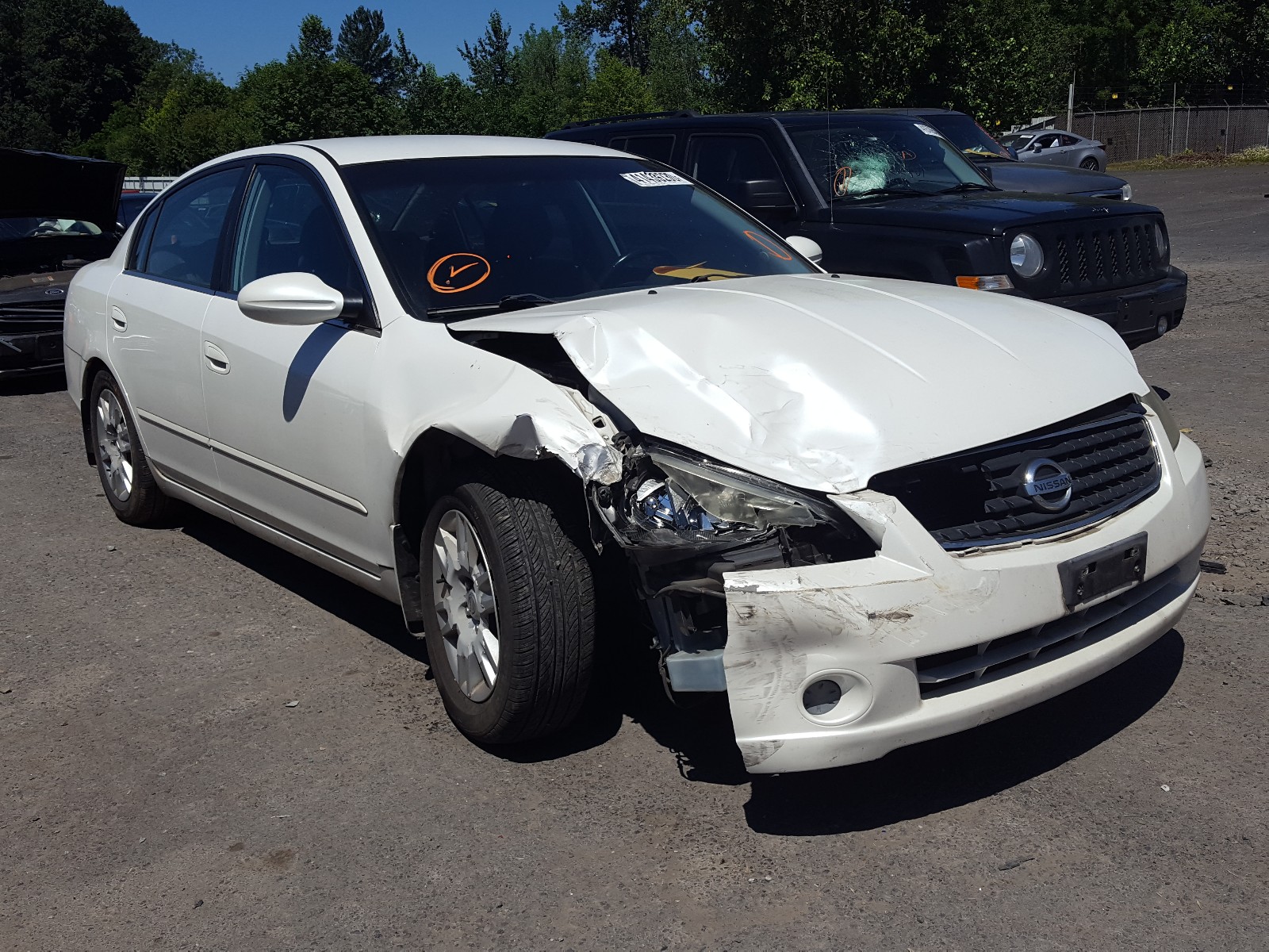 NISSAN ALTIMA S 2006 1n4al11d26n453041