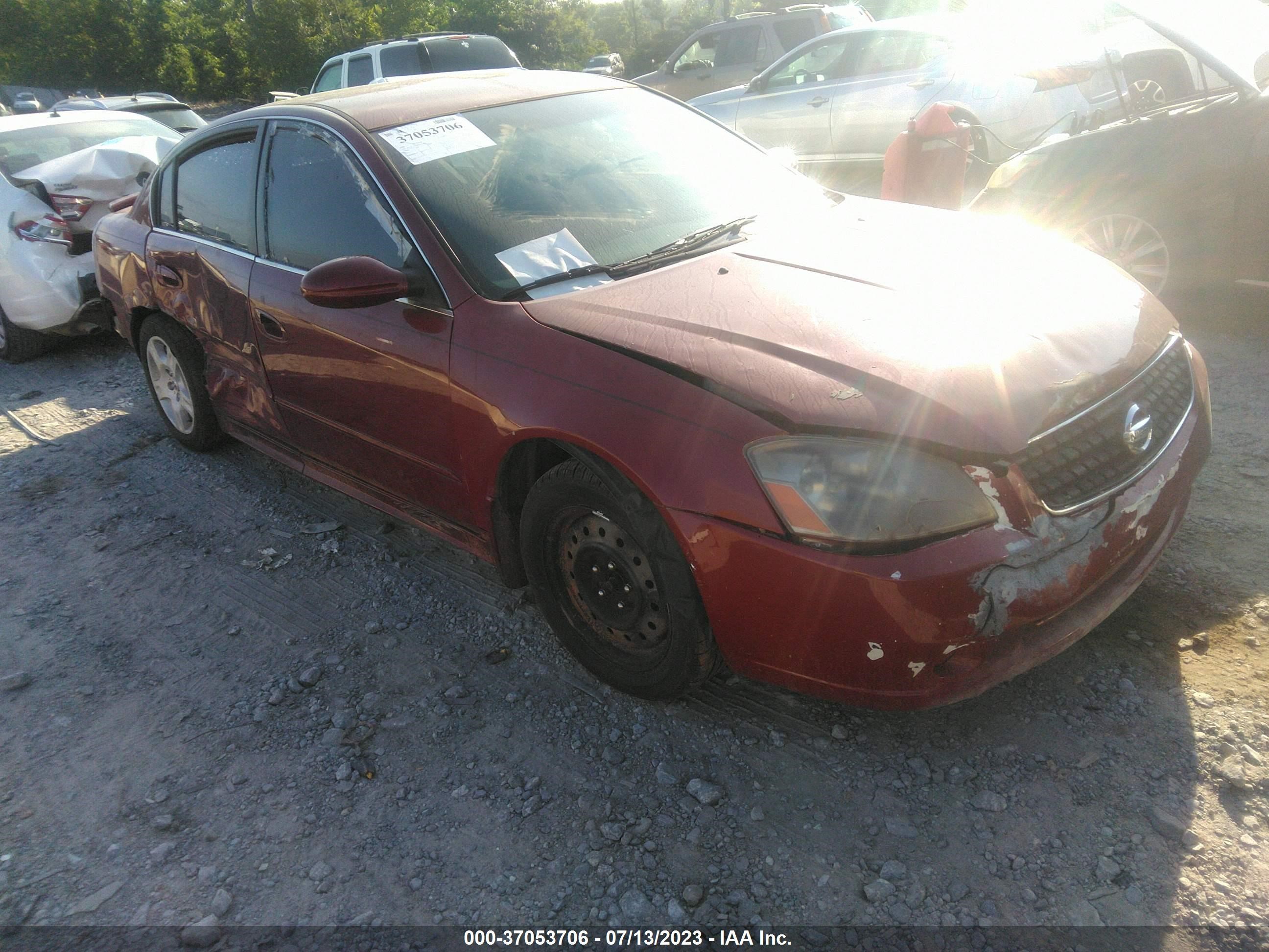 NISSAN ALTIMA 2005 1n4al11d35c150456